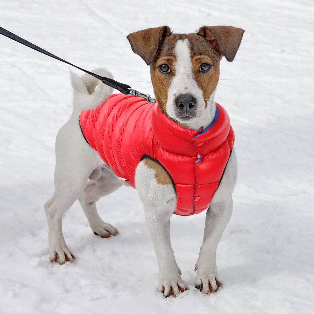Dog Windproof Reversible Jackets Warm for Small Medium Large Dog Bulldog Pug