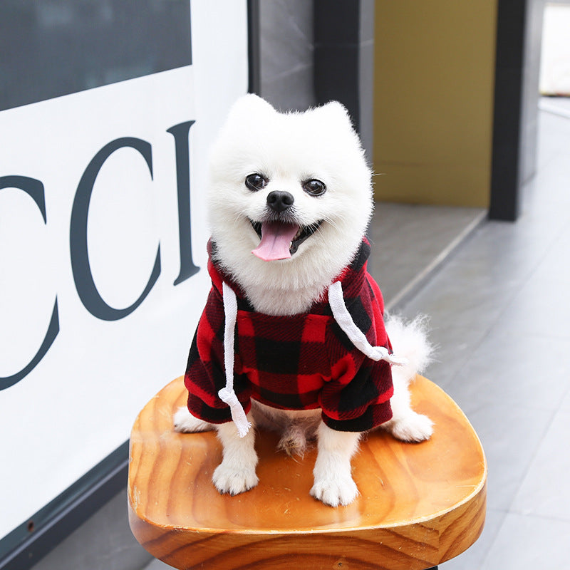 Dog Soft Wool Hoodies Outfit