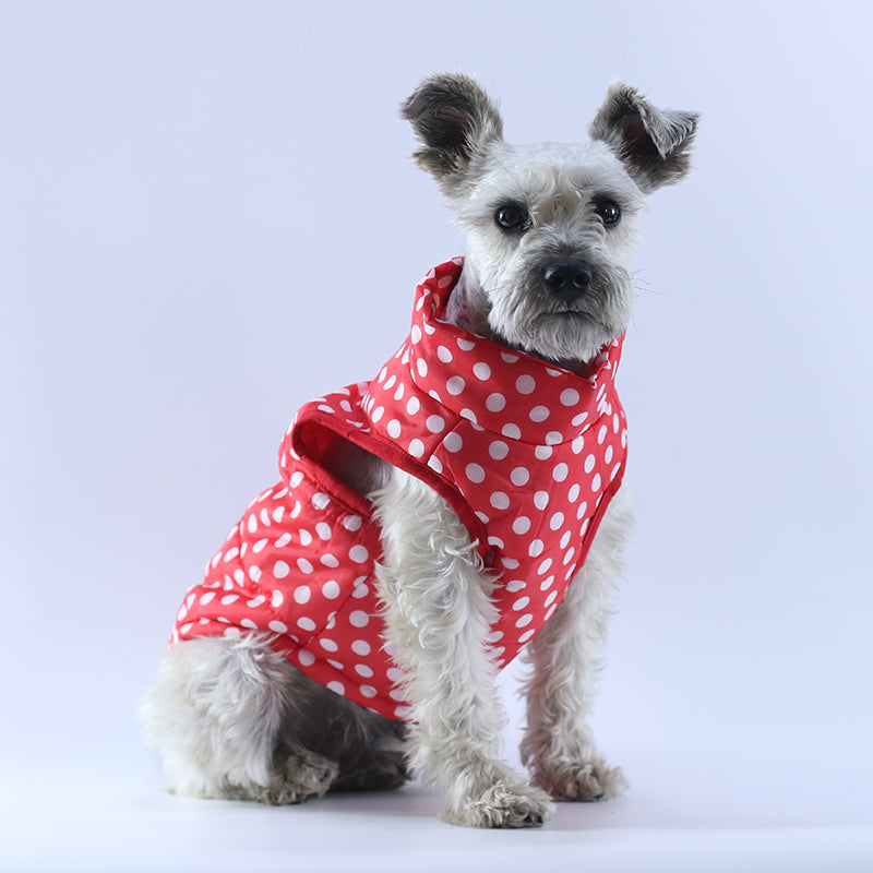 Dog Winter Warm And Windproof Down Jacket For Small Dogs