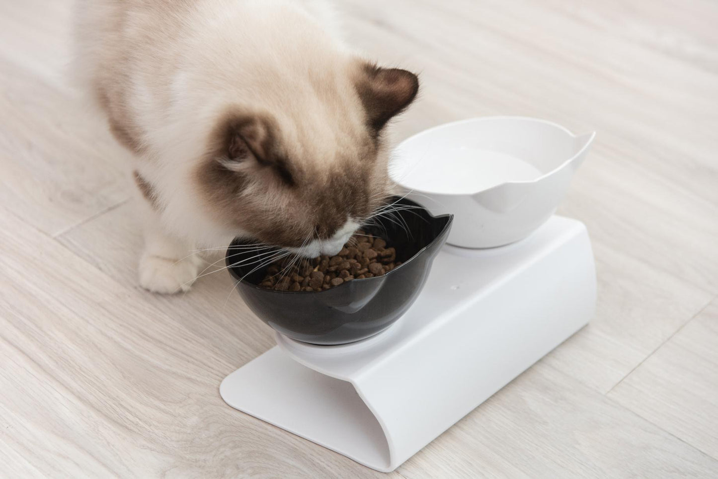 Cervical Transparent Cat Double Bowl
