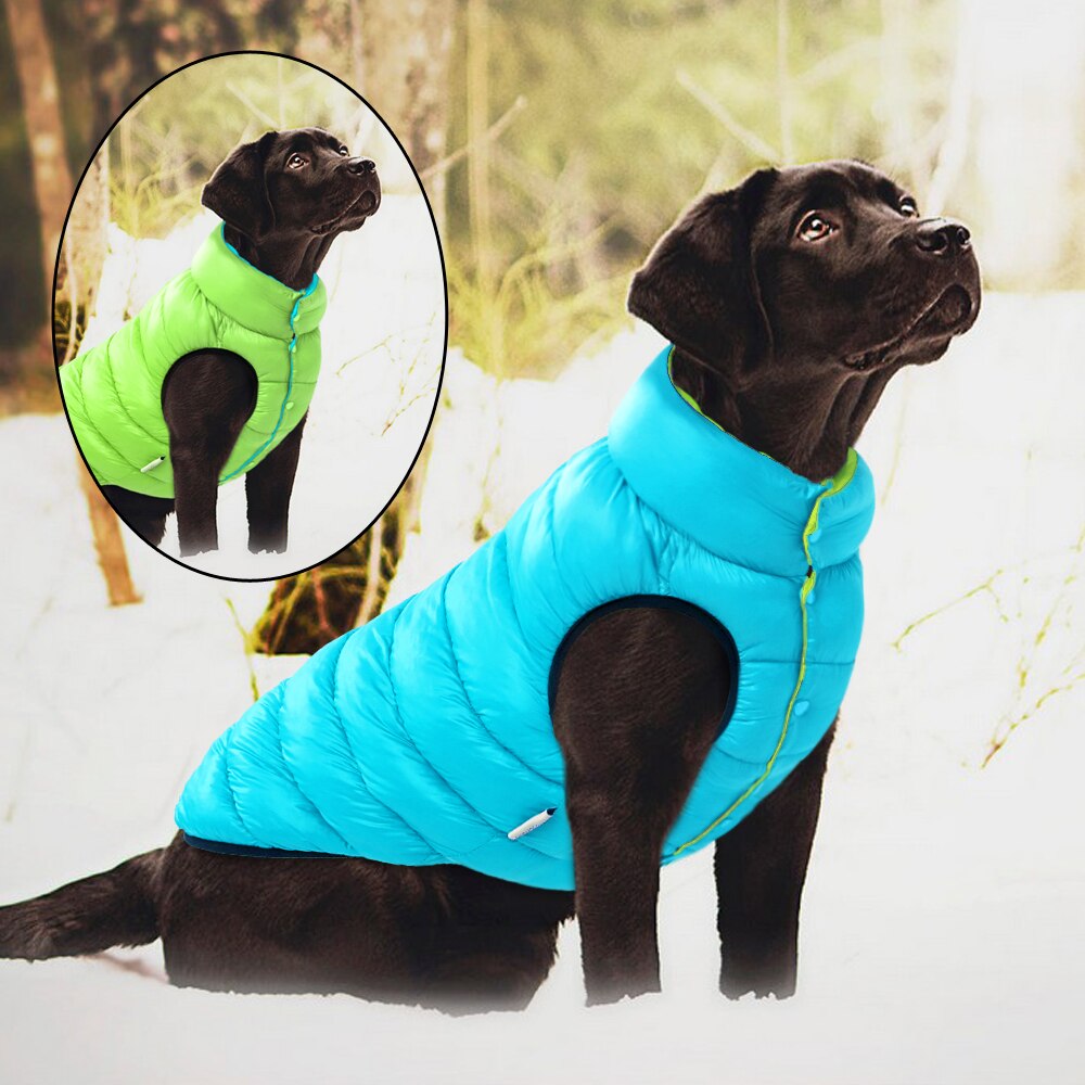 Dog Windproof Reversible Jackets Warm for Small Medium Large Dog Bulldog Pug