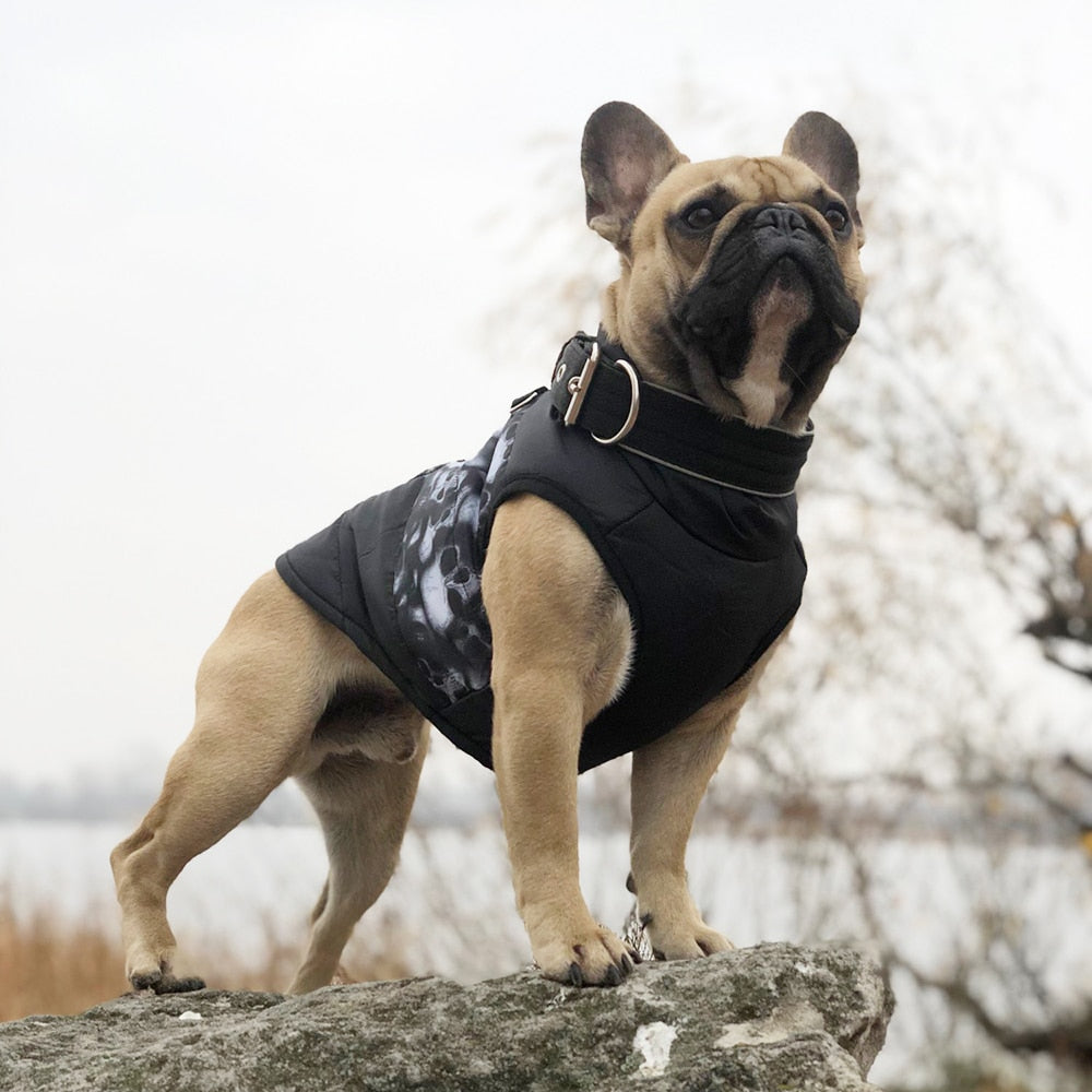 Dog Winter Warm And Windproof Down Jacket For Small Dogs