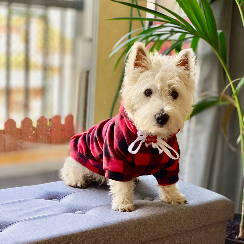 Dog Soft Wool Hoodies Outfit