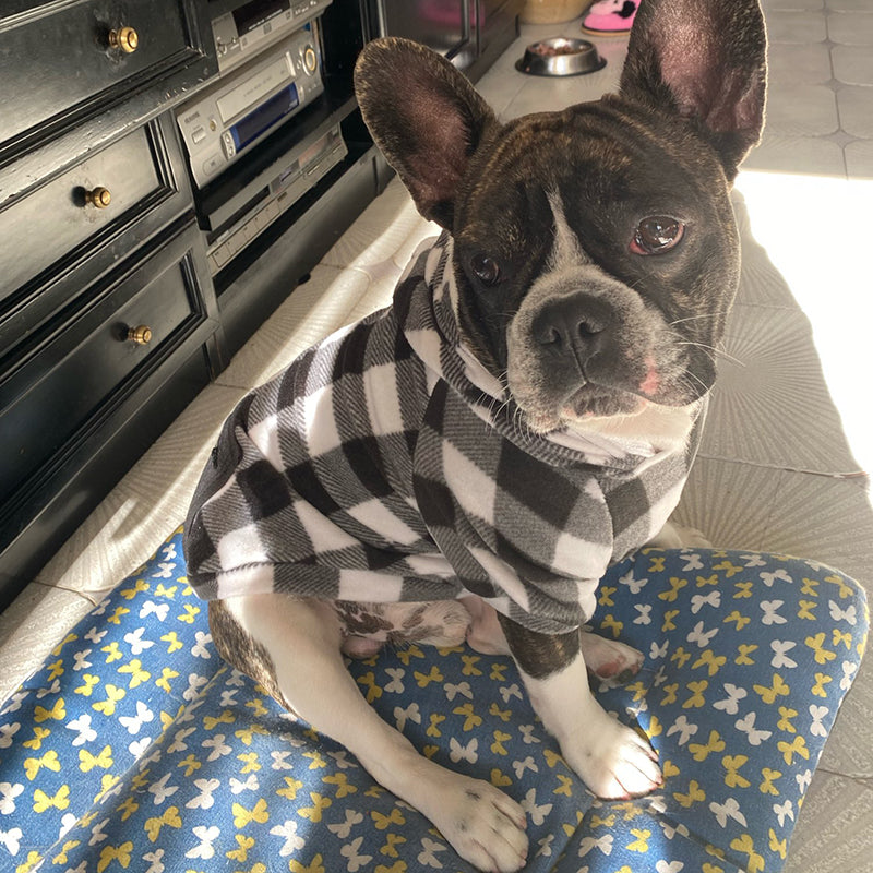 Dog Soft Wool Hoodies Outfit