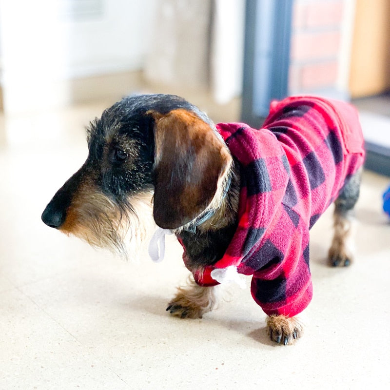 Dog Soft Wool Hoodies Outfit