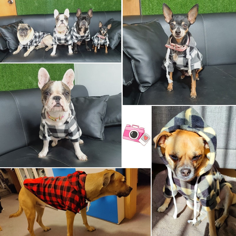 Dog Soft Wool Hoodies Outfit